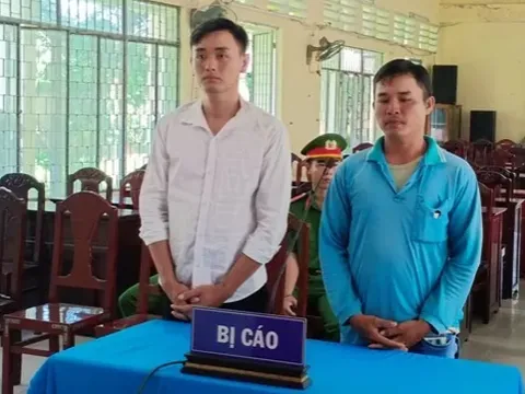 Đồng Tháp: Trộm bốn cây mai cảnh, hai gã 'đạo chích' lĩnh 16 tháng tù