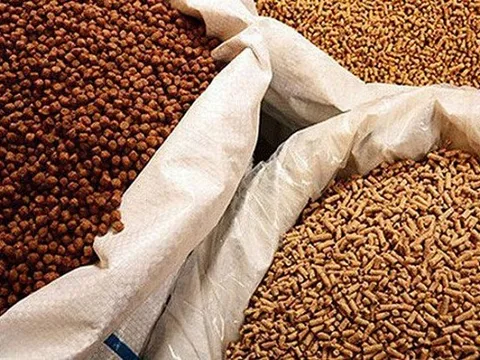 Trung Quốc - thị trường nhập khẩu nhiều nhất thức ăn gia súc và nguyên liệu của Việt Nam