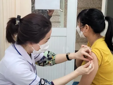 11 người dân bị một con chó dại cắn tại Đồng Nai