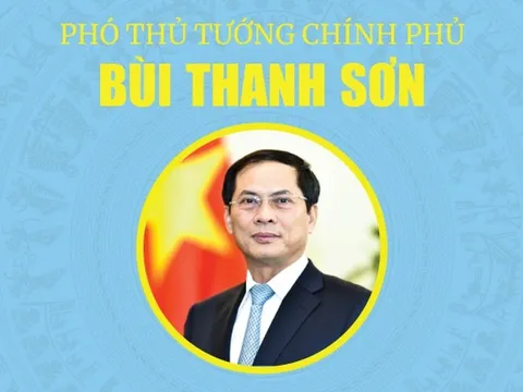 Bộ trưởng Bộ Ngoại giao Bùi Thanh Sơn được phê chuẩn bổ nhiệm giữ chức Phó Thủ tướng Chính phủ