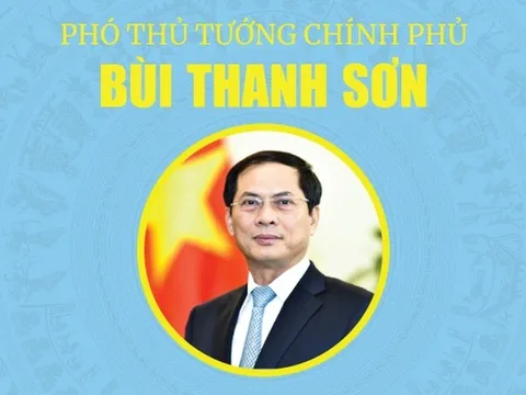 Thủ tướng phân công nhiệm vụ Phó Thủ tướng Chính phủ Bùi Thanh Sơn