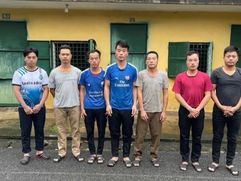 Khởi tố, bắt tạm giam 7 đối tượng chặt phá rừng trái phép