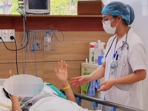 Thận trọng với rắn và các động vật khác có nọc độc cắn trong mùa mưa bão