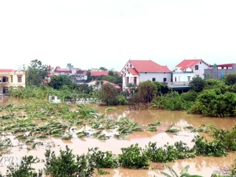 Thời tiết tốt dần, vùng ngoài đê sông Hồng tại Hà Nội sẽ rút nước sau 2-3 ngày tới