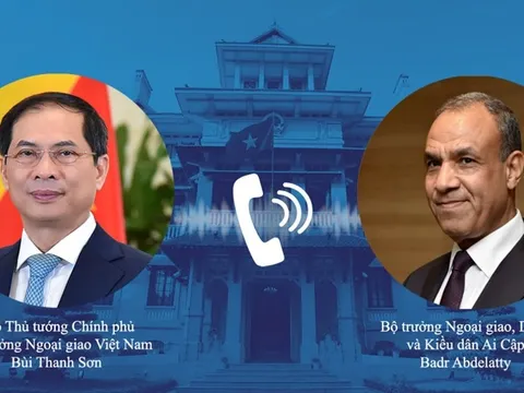 Nâng cao hiệu quả các cơ chế hợp tác song phương Việt Nam - Ai Cập