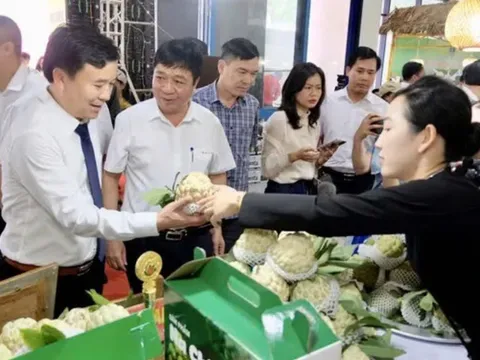 Xúc tiến thương mại tạo đầu ra bền vững cho nông sản miền núi