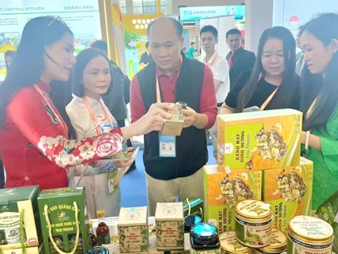 Quảng Nam tổ chức quảng bá, xúc tiến du lịch tại Trung Quốc