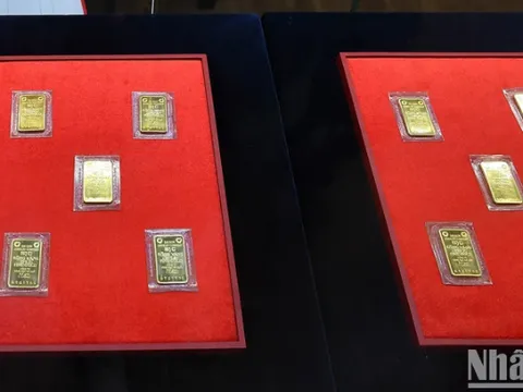 Giá vàng ngày 14/10: Tăng nửa triệu đồng, vàng miếng trở lại mức 85 triệu đồng/lượng