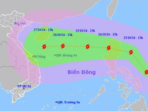 Áp thấp nhiệt đới mạnh lên thành bão mạnh cấp 8, giật cấp 10