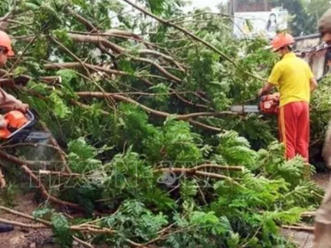 Hai bang của Ấn Độ dừng các chuyến bay do bão Dana
