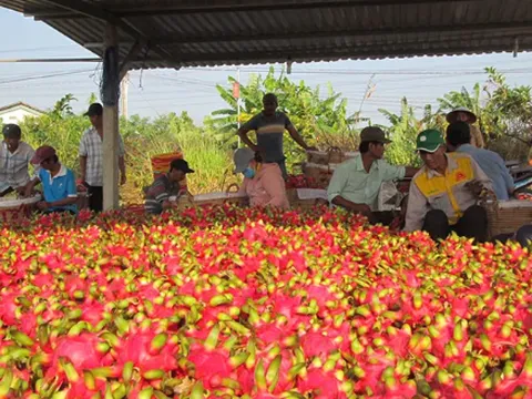 Xuất siêu nông, lâm, thủy sản đạt 13,86 tỷ USD