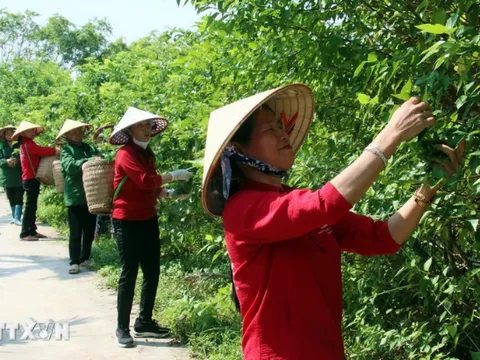 Những chính sách kinh tế nào sẽ có hiệu lực từ tháng 11 sắp tới?