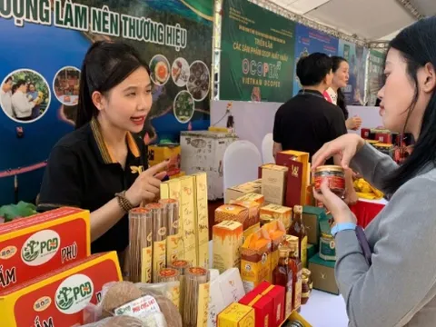 Triển lãm sản phẩm OCOP xuất khẩu: Nơi kết nối doanh nghiệp và thị trường toàn cầu
