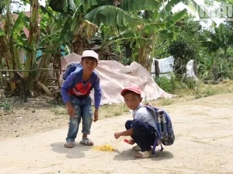 Đắk Lắk triển khai tiêm vaccine uốn ván-bạch hầu cho tất cả trẻ học lớp 2 và trẻ 7 tuổi không đi học tại cộng đồng
