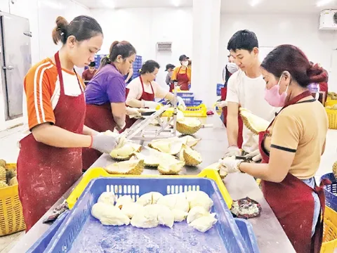 Tăng tốc xuất khẩu nông sản cuối năm