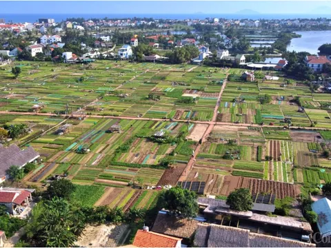 Làng rau Trà Quế - Làng Du lịch tốt nhất thế giới năm 2024