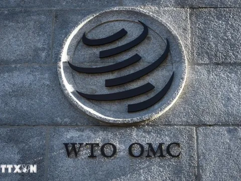 Việt Nam tham gia phiên rà soát chính sách thương mại của Nigeria tại WTO