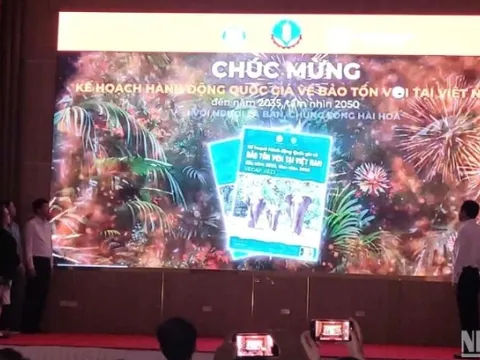 Chung tay hành động bảo tồn voi tại Việt Nam