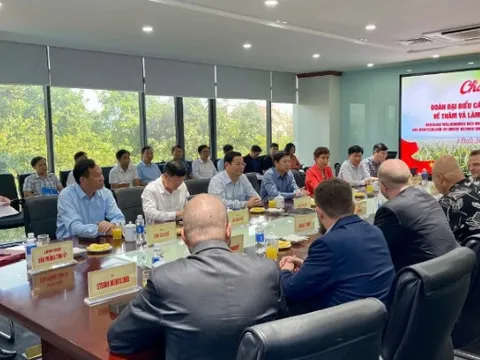 Đoàn đại biểu cấp cao Đảng Cánh tả Đức làm việc tại Ninh Bình