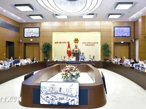 Sắp xếp đơn vị hành chính của 12 tỉnh, thành phố trực thuộc Trung ương