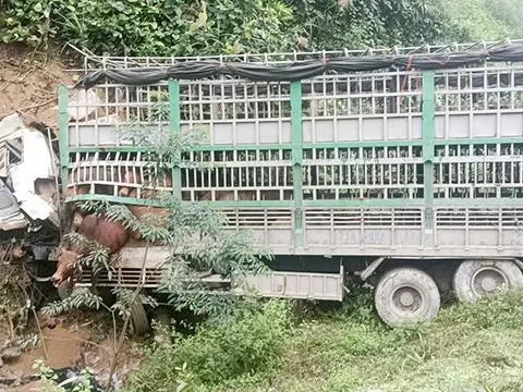 Quảng Bình: Xe tải lao xuống chân đồi, tài xế tử vong