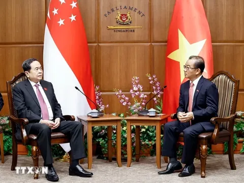 Việt Nam và Singapore tăng cường giám sát trong triển khai các hiệp định về lĩnh vực kinh tế xanh, kinh tế số