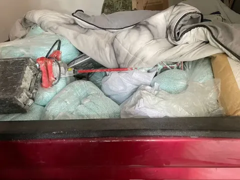 Mexico thu giữ lượng ma túy fentanyl lớn nhất từ ​​trước đến nay