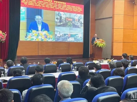 Bộ Văn hóa, Thể thao và Du lịch quán triệt mục tiêu tinh gọn bộ máy