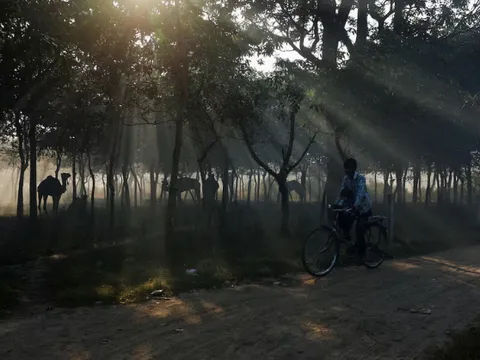 Ấn Độ nới lỏng các biện pháp hạn chế do chất lượng không khí được cải thiện