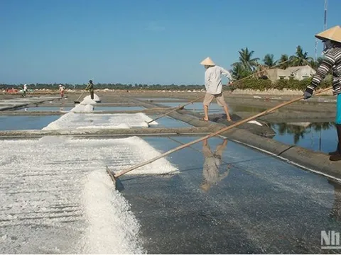 Nghề làm muối Sa Huỳnh trở thành Di sản văn hóa phi vật thể quốc gia