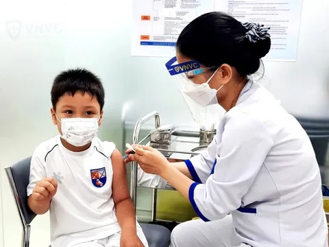 Đã có hơn 80 trường hợp tử vong do bệnh dại