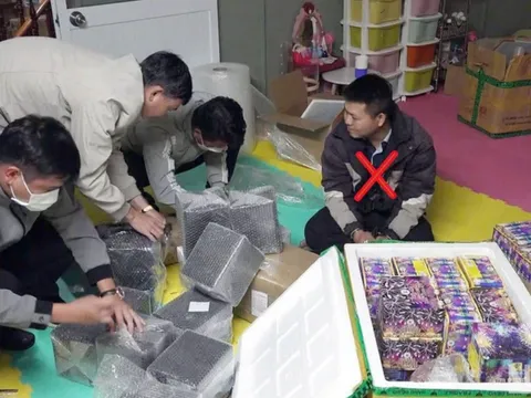 Công an tỉnh Lâm Đồng bắt giữ đối tượng tàng trữ lượng lớn pháo nổ