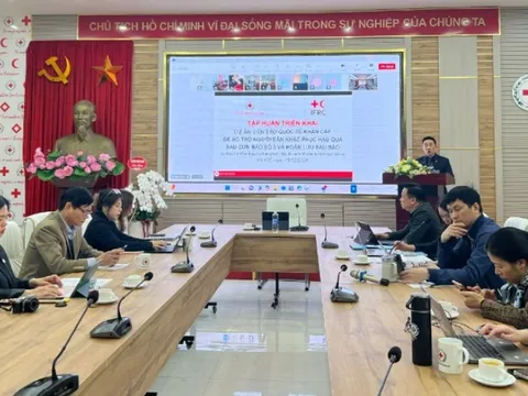 Triển khai Dự án Viện trợ quốc tế khẩn cấp hỗ trợ người dân khắc phục hậu quả sau cơn bão số 3