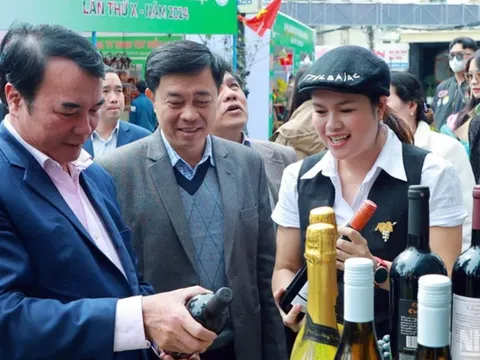 Trải nghiệm phố rượu vang, trà, cà-phê và đặc sản Đà Lạt - Lâm Đồng