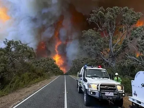 Thảm họa cháy rừng ở Australia: 74.000ha rừng bị thiêu rụi