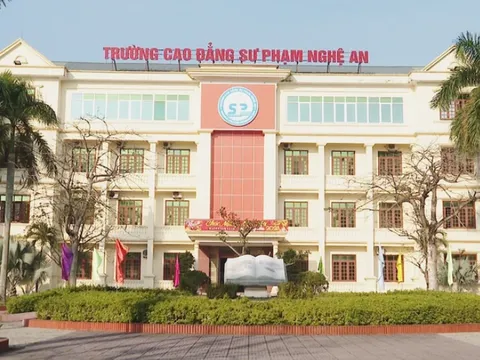 Trường cao đẳng Y tế Hải Dương, cao đẳng Sư phạm Nghệ An sáp nhập vào trường đại học