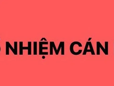 Thủ tướng Chính phủ bổ nhiệm lại 2 Thứ trưởng Bộ Tư pháp