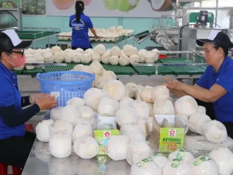 Việt Nam xuất siêu mạnh vào Singapore trong 11 tháng năm 2024