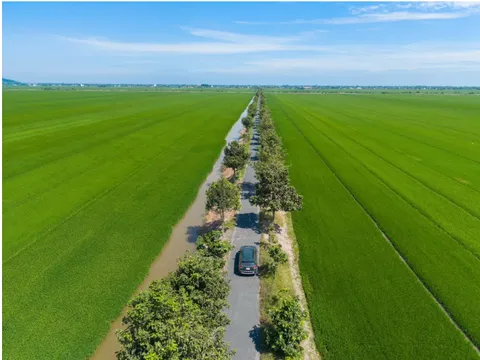 Thị trường du lịch Tết Ất Tỵ: Nhiều "tour chất, giá tốt"