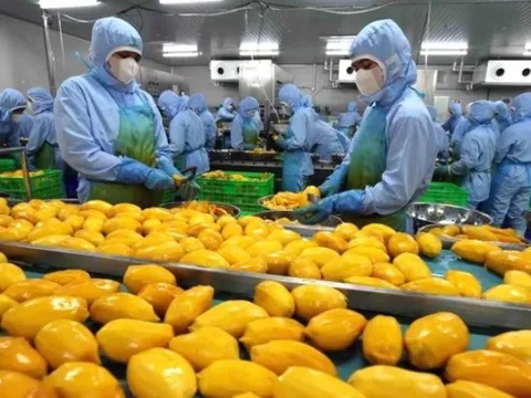 Nhiều dư địa để Việt Nam tăng xuất khẩu nông sản, thực phẩm sang thị trường Anh