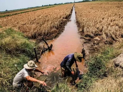 Năm 2025, xâm nhập mặn tại đồng bằng sông Cửu Long cao hơn trung bình nhiều năm