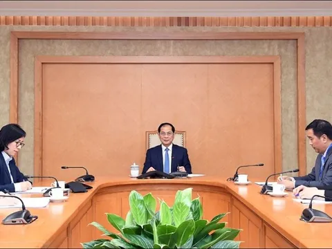 Phó thủ tướng Chính phủ, Bộ trưởng Ngoại giao Bùi Thanh Sơn điện đàm với Bộ trưởng Ngoại giao Thổ Nhĩ Kỳ