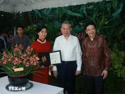 Hoa phong lan 'Papilionanda Tô Lâm Linh Ly': Biểu tượng mới của tình hữu nghị Việt Nam và Singapore