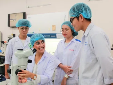 Đại học Quốc gia Thành phố Hồ Chí Minh có 15 ngành thuộc tốp 500 thế giới