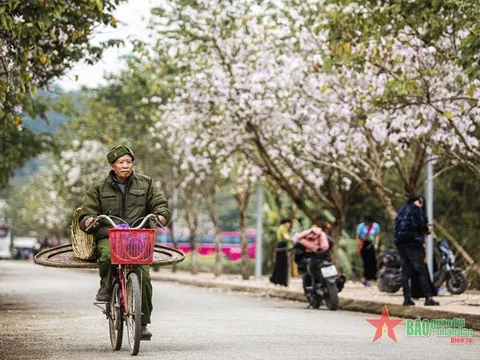 Thời tiết hôm nay (25-3): Miền Bắc nắng nóng trước khi chuyển lạnh, cao nhất 32 độ C