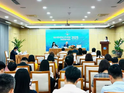 ĐHĐCĐ PSI: Ghi nhận tổng doanh thu năm 2024 đạt 347,3 tỷ, lợi nhuận sau thuế 25,9 tỷ đồng