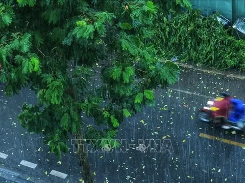 Thời tiết hôm nay (26-4): Thủ đô Hà Nội có mưa rào và dông vài nơi