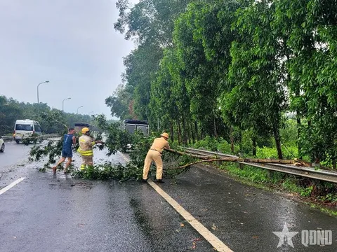 Cảnh sát giao thông xử lý nhiều điểm cây đổ sau mưa dông trên Đại lộ Thăng Long