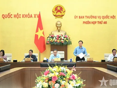 Xác lập rõ mô hình tổ chức chính quyền địa phương 2 cấp