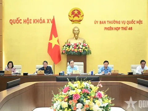 Hoàn thiện cơ chế thu hút người có tài năng trong hoạt động công vụ